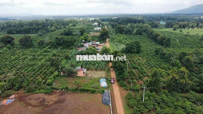 13 x32 mặt tiền đường bê tông khu dân cư