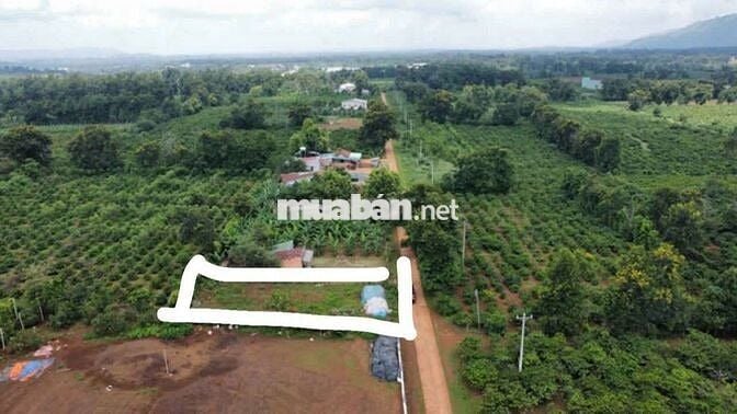 13 x32 mặt tiền đường bê tông khu dân cư