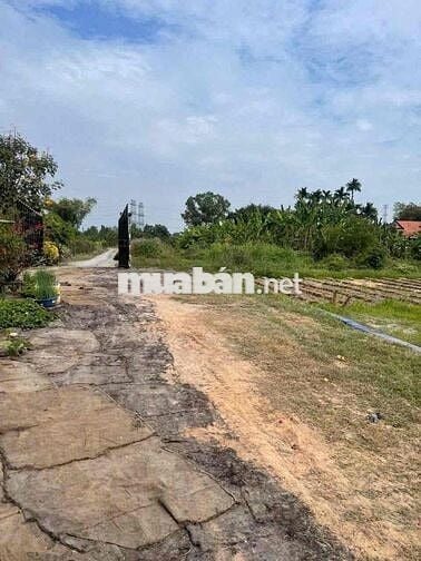 chủ hạ giá bán gấp lô đât đường thông xe hơi 135m chỉ 650tr hoà khánh