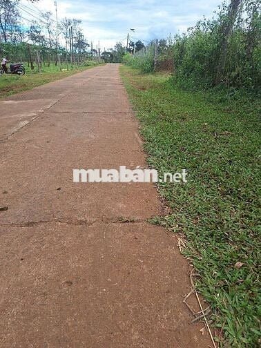 13 x32 mặt tiền đường bê tông khu dân cư