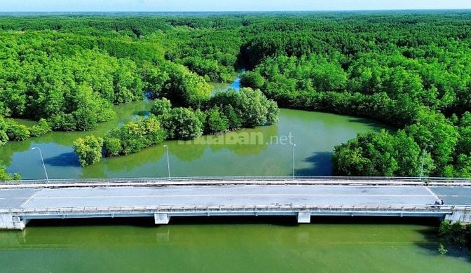 Vinhomes Green Paradise Cần Giờ