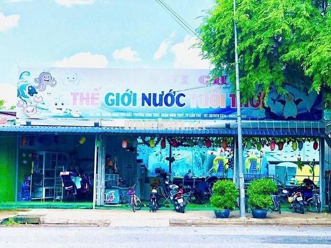 sang nhượng toàn bộ  Khu vui chơi dưới nước