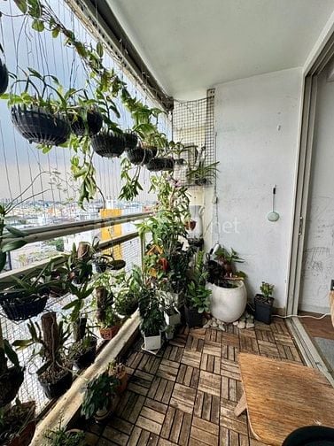 Bán Căn hộ sang trọng view đẹp, tiện nghi Block B CC Botanic 