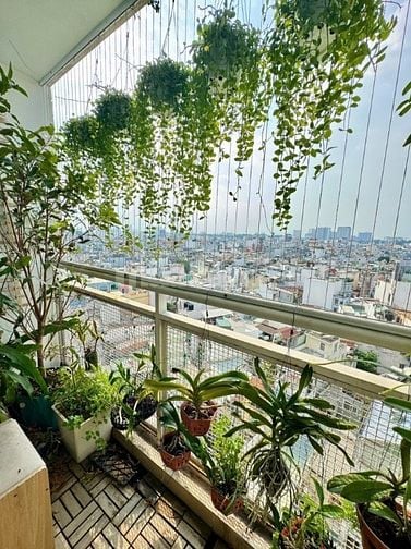Bán Căn hộ sang trọng view đẹp, tiện nghi Block B CC Botanic 