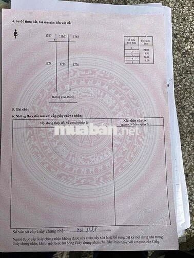 đất sổ hồng 100m2 thổ cư đường nhựa vỉa hè