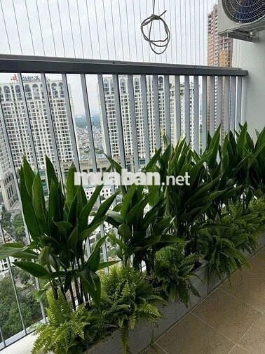 Bán CH Xuân Mai Riverside Mỗ Lao 86m2 3PN căn góc, nhà đẹp giá 6.8 tỷ