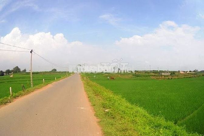 ✨ BÁN ĐẤT NÔNG NGHIỆP CÓ SỔ 1527 M2 TẠI TÂN NHỰT–BÌNH CHÁNH-TP.HCM ✨