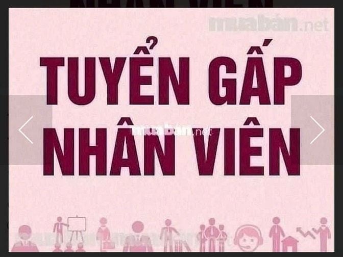 Cần tuyển HCVP. Không cần trình độ. Làm tại Q.12 và các vùng lân cận 