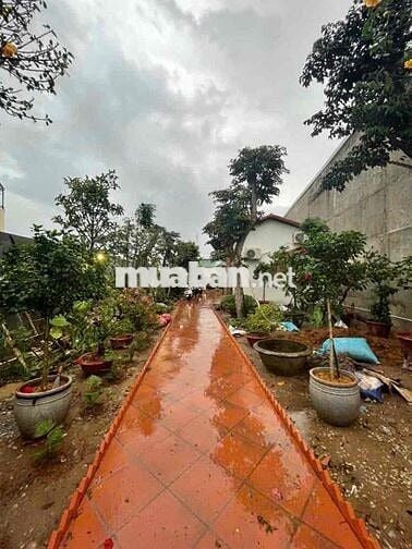 NHÀ SÂN VƯỜN RỘNG THOÁNG ĐƯỜNG NGUYỄN VĂN LINH OTO TỚI CHỖ