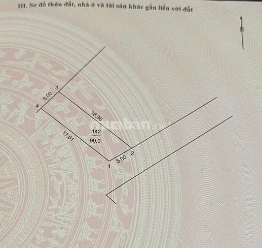 Cực phẩm tại Đội 2 Xóm 1 Tự Nhiên, Thường Tín, Ô tô thông, Đông Nam