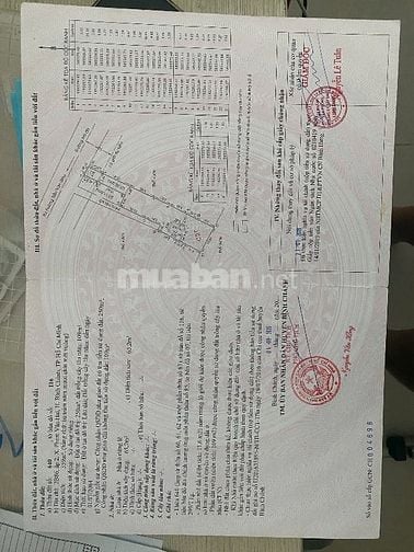 Bán nhà và đất sau lưng mặt tiền Trần Văn Giàu