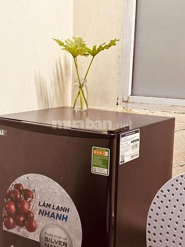 Phòng trọ ngõ 40 Tạ Quang Bửu - trung tâm khu Bách Kinh Xây