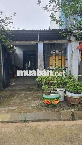 Không Còn Lô Nào Rẻ Hơn Nữa , Hướng Đn , Sạch Đẹp