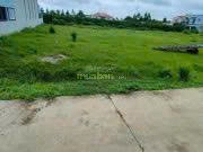 BÁN NHANH ĐẤT ĐẸP TẠI BẾN LỨC – VỊ TRÍ SÁNG GIÁ, TIỀM NĂNG TĂNG GIÁ 