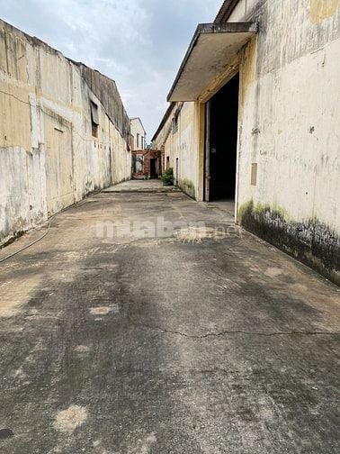 CHO THUÊ KHO THỜI GIAN NGẮN HẠN