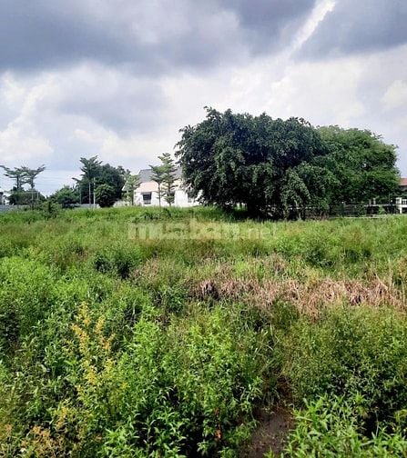 BÁN NHANH ĐẤT ĐẸP TẠI BẾN LỨC – VỊ TRÍ SÁNG GIÁ, TIỀM NĂNG TĂNG GIÁ 