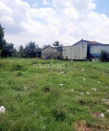 BÁN NHANH ĐẤT ĐẸP TẠI BẾN LỨC – VỊ TRÍ SÁNG GIÁ, TIỀM NĂNG TĂNG GIÁ 