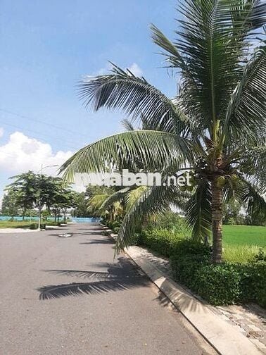 Đến Bến Lức Long An đã có KING HILL RESIDENCES chỉ 22m2 với 90m2.