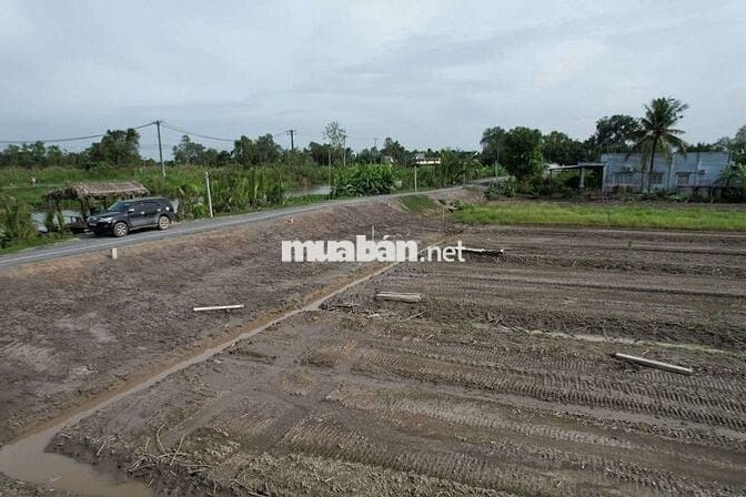 Đất vườn mặt tiền đường 816 ấp 6 xã Bình Đức bến lức Long An