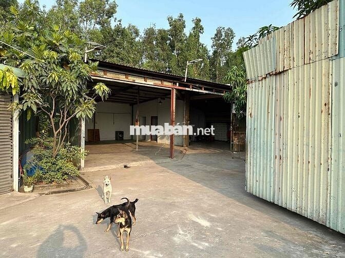 cho thuê kho xưởng mặt tiền võ trần chí , tân tạo a , bình tân 200m2