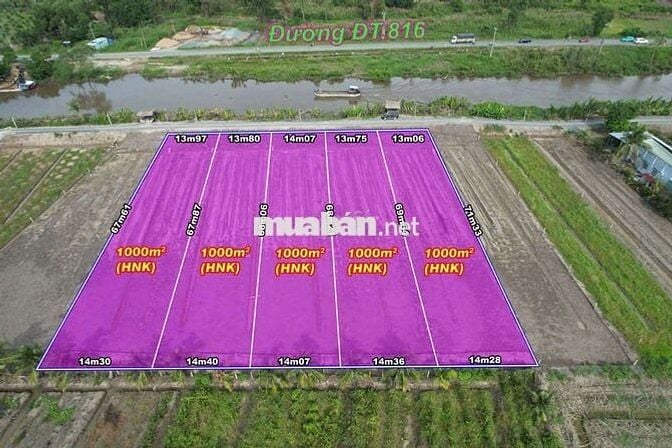 Đất vườn mặt tiền đường 816 ấp 6 xã Bình Đức bến lức Long An