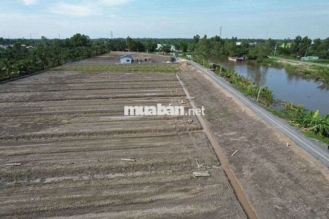 Đất vườn mặt tiền đường 816 ấp 6 xã Bình Đức bến lức Long An