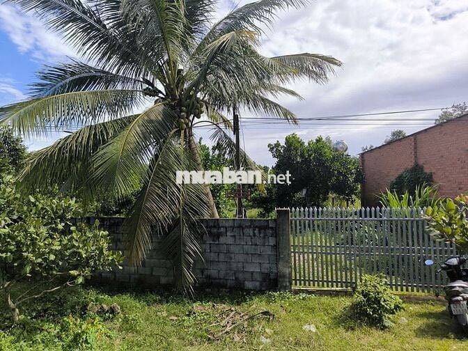 Bán 2012m2 (ngang 30 dài 70m) trục Phước Minh-Lộc Ninh