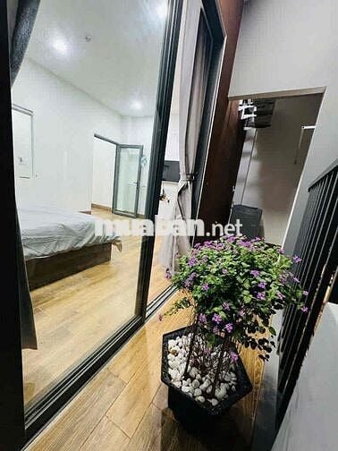 CĂN HỘ 1 PHÒNG NGỦ - KHU VỰC YÊN TĨNH 🏖️🏖️