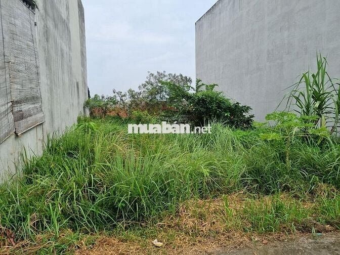 Chủ kẹt tiền cần bán gấp đất Cần Giuộc Long An, DT 102m2 chỉ 590tr SHR