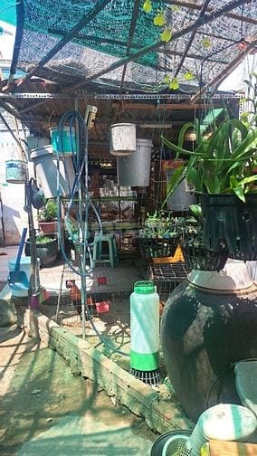 Nhà Kho 460m² Hồng Bàng Q6 – 4 Căn Cho Thuê – Giá 23 Tỷ TL