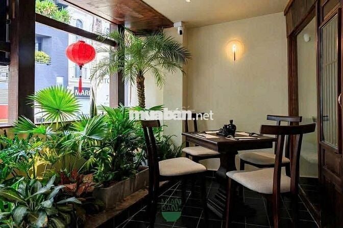 😱Mới ra! MT Bùi Thị Xuân – Trệt + L1 suốt, Style Nhật cổ, khu sầm uất