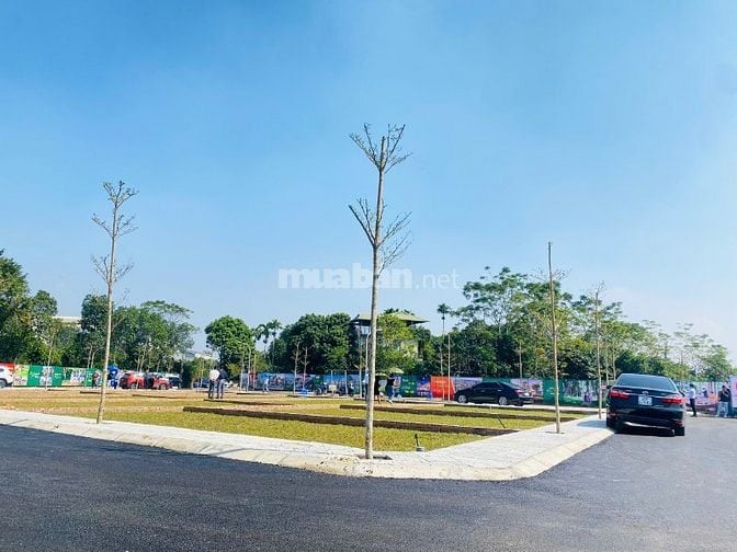 🔥 BÁN GẤP LÔ GÓC 100m² – MẶT TIỀN 6M – KHU 29 THỬA PHÚ CÁT – GIÁP SUỐ