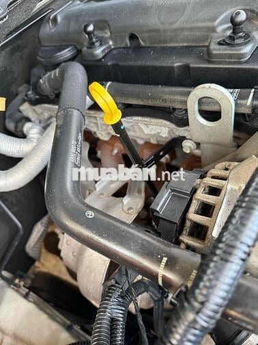 Ford Ranger 2017 XLS Tự động xe gia đình