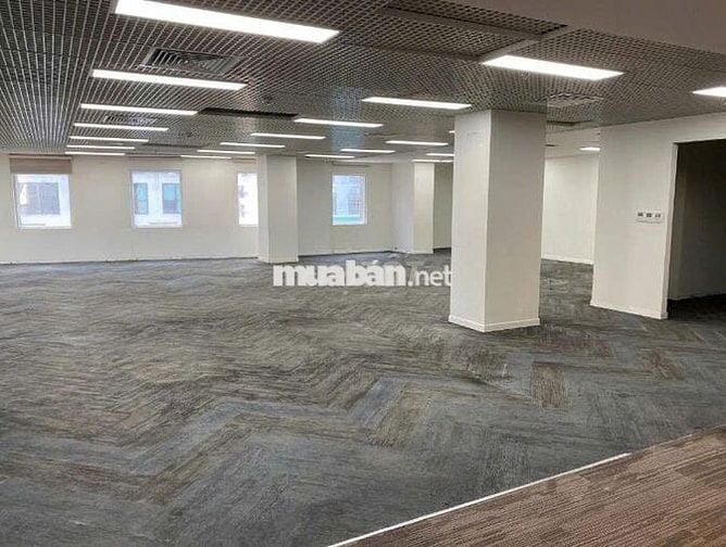 Mặt Tiền Trương Công Định, Quận Tân Bình