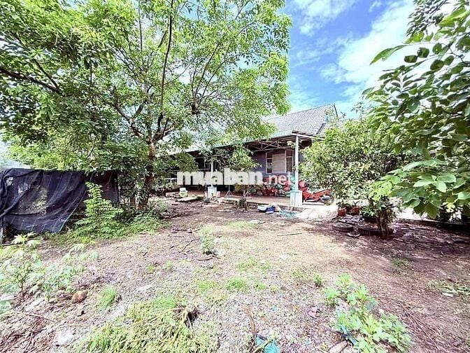 DIỆN TÍCH LỚN 660M2 NGANG LỚN 15X44 TÂN HIỆP GẦN SONG HÀNH GIÁ RẺ BÈO