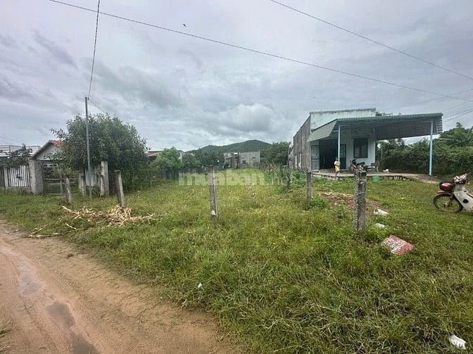 Bán Gấp Lô Đất Đẹp Ngang 10x50 Tại Tân Tiến LaGi Giá 1 Tỷ Siêu Rẻ