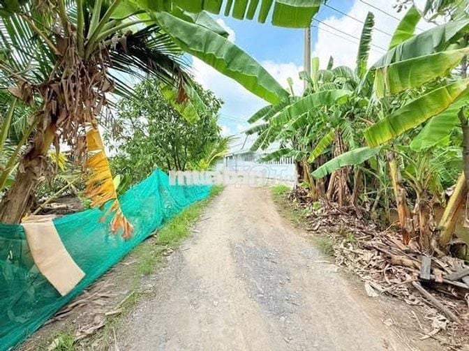 Bán đất ngay sát đường lên cao tốc Trung Lương - Mỹ Thuận