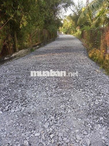 Bán nhà vườn góc hai mặt tiền, diện tích 2250 mét