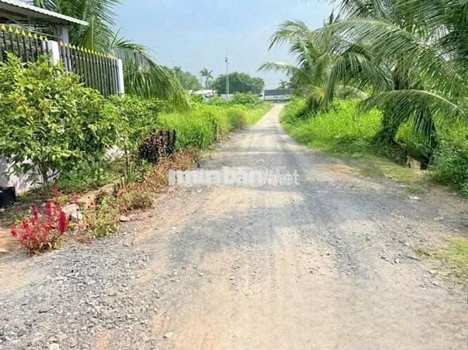 Bán đất ngay sát đường lên cao tốc Trung Lương - Mỹ Thuận