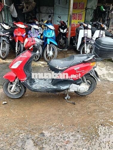 Piaggio Vespa Đỏ Tự động