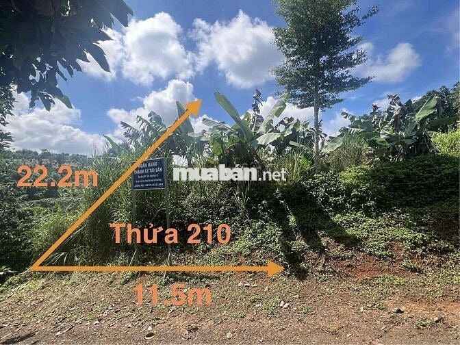 Ngân hàng thanh lý 2 lô đất tại xã Lộc Đức, Bảo Lâm, Lâm Đồng