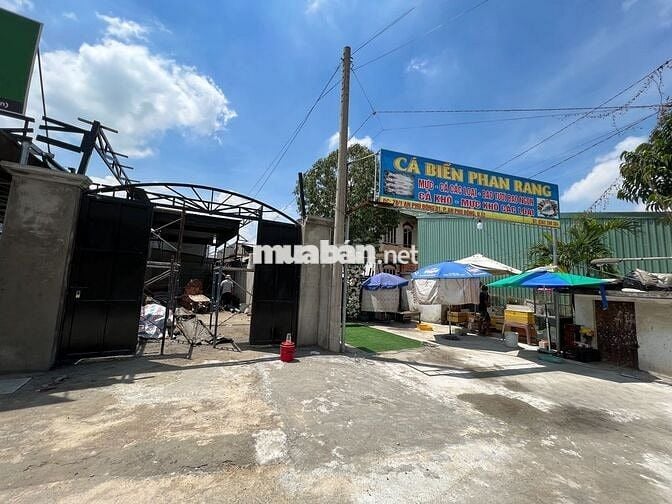 BÁN NHÀ CHÍNH CHỦ – VỊ TRÍ VÀNG AN PHÚ ĐÔNG