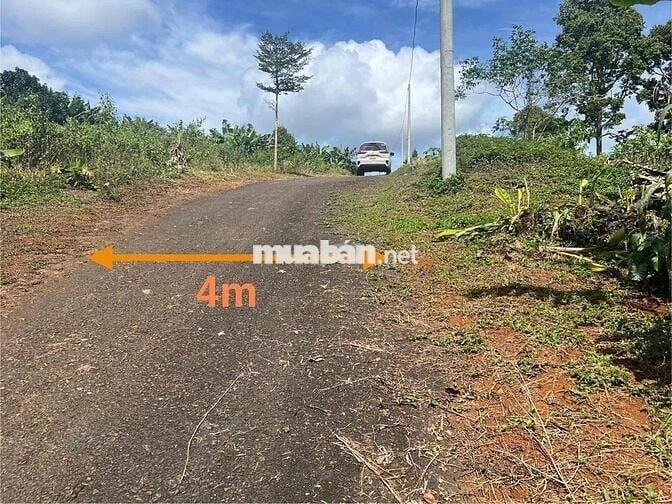 Ngân hàng thanh lý 2 lô đất tại xã Lộc Đức, Bảo Lâm, Lâm Đồng