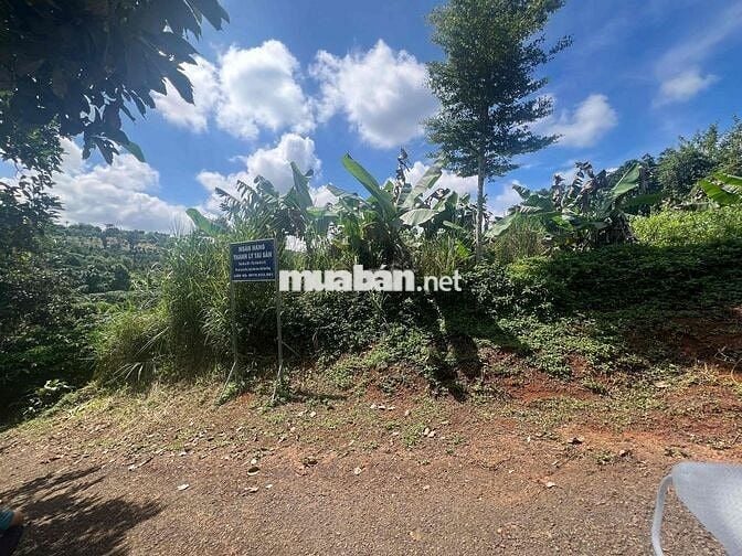 Ngân hàng thanh lý 2 lô đất tại xã Lộc Đức, Bảo Lâm, Lâm Đồng