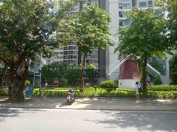 Bán shopouse chân đế Ocean Park 1, diện tích 43m2, Giá 6 tỷ