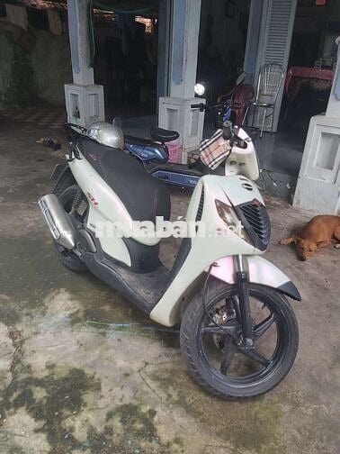 Honda SH 2008 màu Trắng