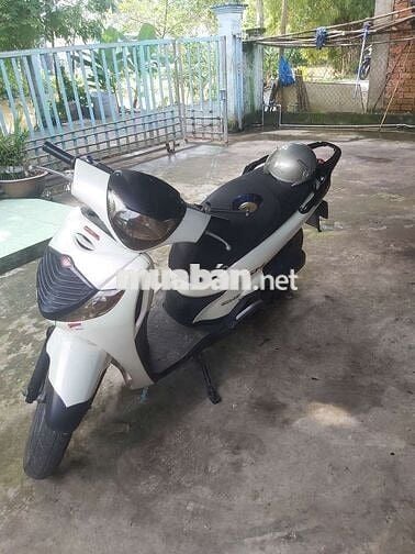 Honda SH 2008 màu Trắng