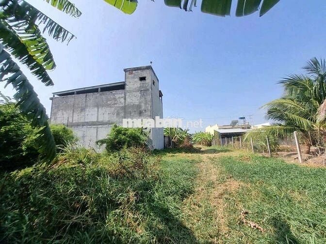 BÁN 7 LÔ ĐẤT LIỀN KỀ, THUẬN HÒA, TX. GÒ CÔNG – TIỀN GIANG