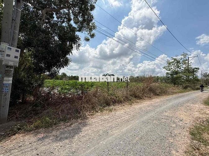 Ngân hàng thanh lý lô đất full thổ cư tại Thạnh Đức, Gò Dầu, Tây Ninh