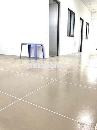 Cho Thuê Nhà Mới 250m2 Gần Nhà Thờ Dĩ An - Đông Hoà - Dĩ An